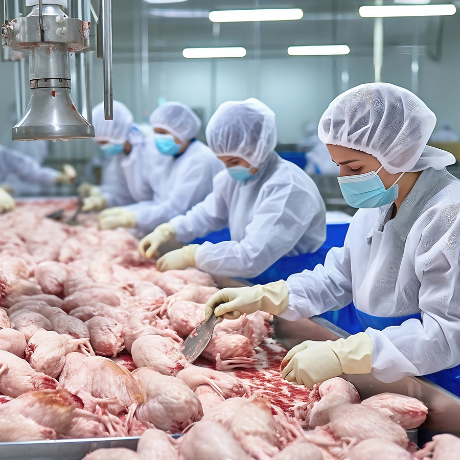 Rotary Drum Screens & Grinders for Poultry Processing