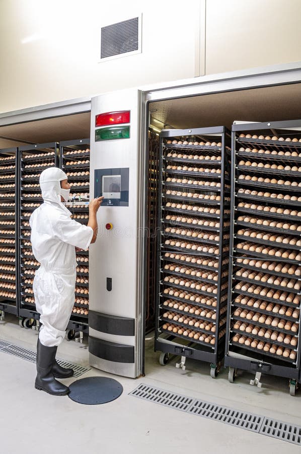 339 Hatchery Worker Stock Photos - Free & Royalty-Free Stock Photos from Dreamstime