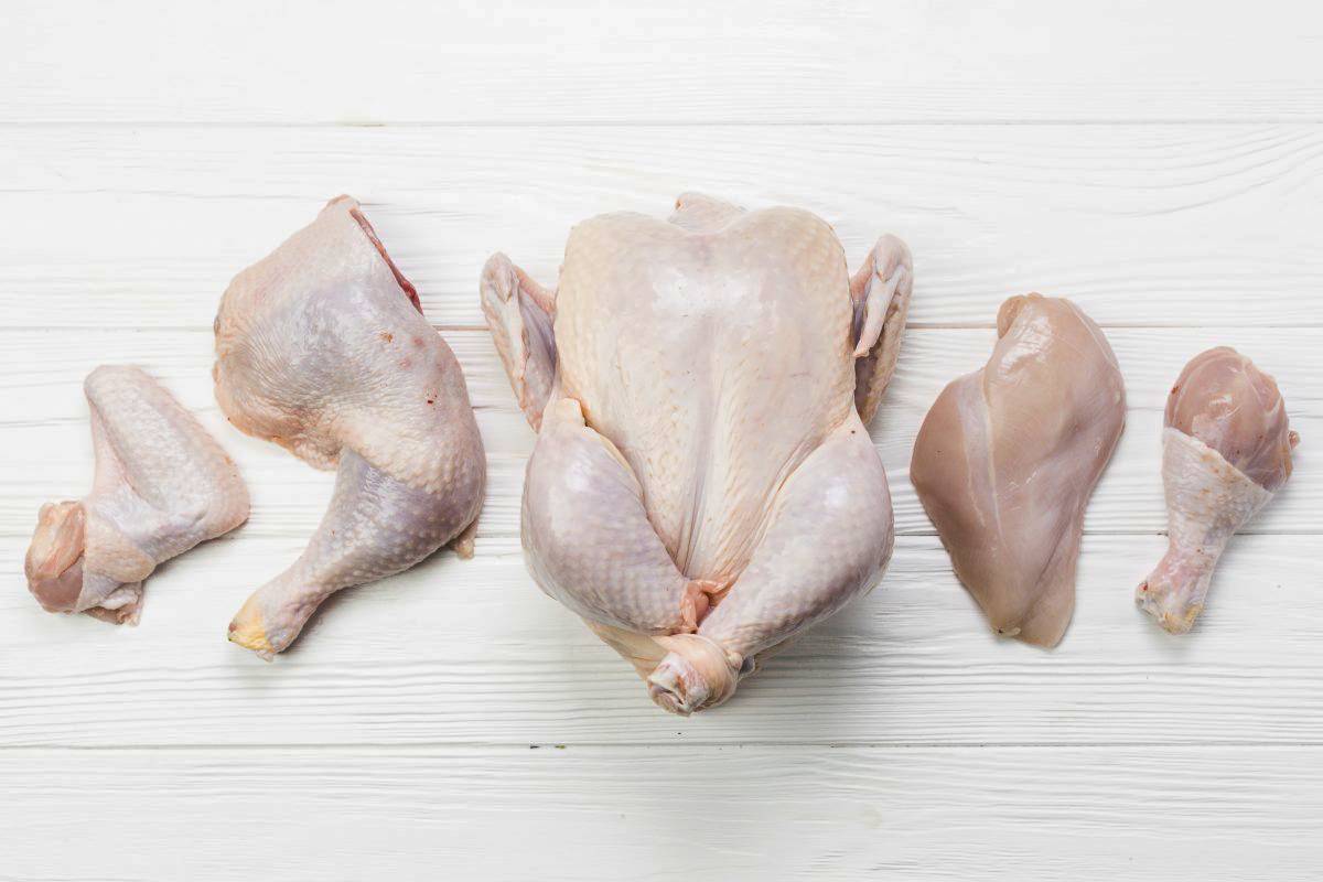 Guide to Knives for Industrial Chicken Processing - TGW International